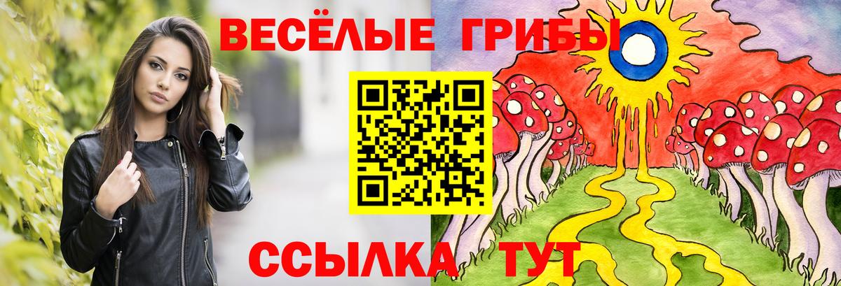 Галлюциногенные грибы Magic Shrooms  Псилоцибиновые грибы GOLDEN TEACHER  Бугуруслан  Вход с VPN 