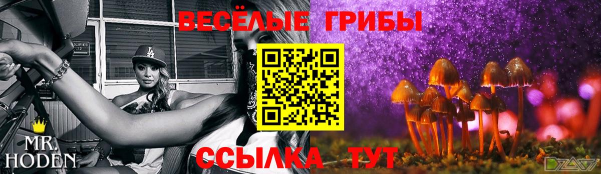Галлюциногенные грибы Magic Shrooms Бугуруслан